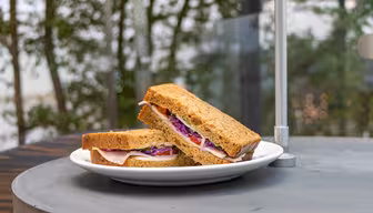 Ein Sandwich mit Vollkornbrot, Putenaufschnitt, Rotkohl und Käse wird halbiert und auf einem weißen Teller serviert. Der Teller steht auf einem runden Tisch im Freien, vor einem verschwommenen Hintergrund mit Bäumen.