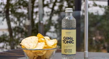 Eine Schüssel Kartoffelchips steht neben einer durchsichtigen Flasche mit der Aufschrift „Gin & Tonic“ auf einem Tisch im Freien. Im Hintergrund ist verschwommenes Grün zu sehen, das an eine Gartenkulisse erinnert.