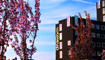 Modernes schwarzes Gebäude mit bunten Fenstern und einem „Wakeup“-Schild. Im Vordergrund ein Garten mit blühenden rosa Blüten und verschiedenen Tulpen. Der Himmel ist klar, nur wenige Kondensstreifen sind zu sehen.
