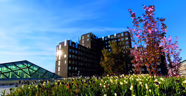 Modernes Gebäude mit vielen Fenstern unter blauem Himmel, umgeben von blühenden Bäumen und einem Blumengarten mit weißen und violetten Tulpen im Vordergrund. Links ist eine Glaskonstruktion sichtbar.