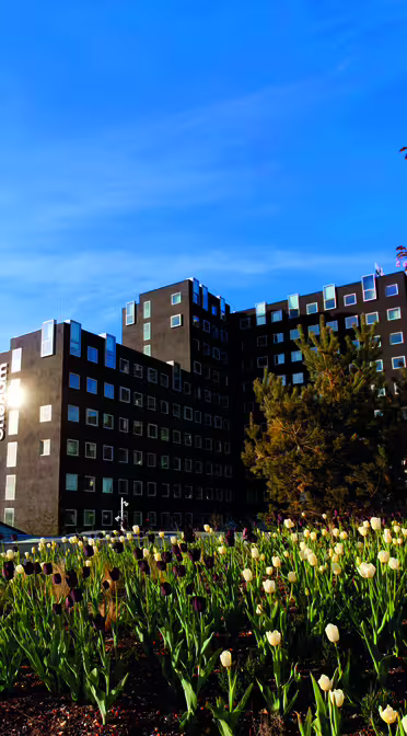 Modernes Gebäude mit vielen Fenstern unter blauem Himmel, umgeben von blühenden Bäumen und einem Blumengarten mit weißen und violetten Tulpen im Vordergrund. Links ist eine Glaskonstruktion sichtbar.
