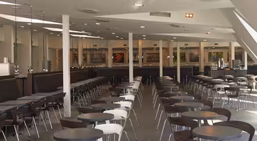 Moderne Cafeteria mit Reihen runder Tische und Holzstühlen. Große Fenster lassen Tageslicht in den großzügigen Raum mit Theke und Deckenleuchten. Die minimalistische Einrichtung schafft eine offene und einladende Atmosphäre.