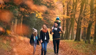 Eine vierköpfige Familie spaziert durch einen herbstlich gefärbten Wald. Mutter und Vater halten sich an den Händen, während der Vater ein Kind auf den Schultern trägt. Ein weiteres Kind geht neben ihnen. Leuchtend orangefarbene und gelbe Blätter säumen den Weg.