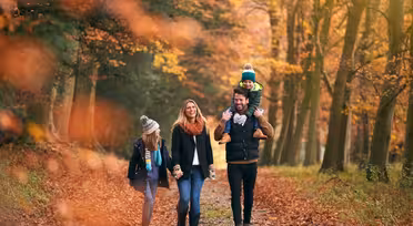 Eine vierköpfige Familie spaziert durch einen herbstlich gefärbten Wald. Mutter und Vater halten sich an den Händen, während der Vater ein Kind auf den Schultern trägt. Ein weiteres Kind geht neben ihnen. Leuchtend orangefarbene und gelbe Blätter säumen den Weg.