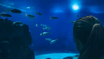 Eine Person mit langen Haaren und einem Baby im Arm beobachtet Fische in einem großen Aquarium. Das Wasser leuchtet bläulich und hebt die vielfältige Meeresflora und -fauna hervor. Im Becken ist eine Felsstruktur zu sehen.