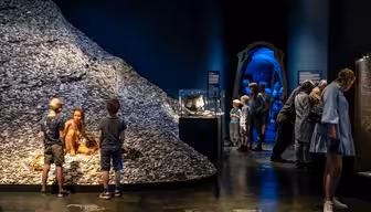 Besucher erkunden eine schwach beleuchtete Ausstellung in einem Museum. Eine Frau sitzt neben einem mit Muscheln bedeckten Hügel und unterhält sich mit Kindern. In der Nähe betrachten Menschen Schautafeln und Informationstafeln entlang eines dunklen, blau beleuchteten Korridors.